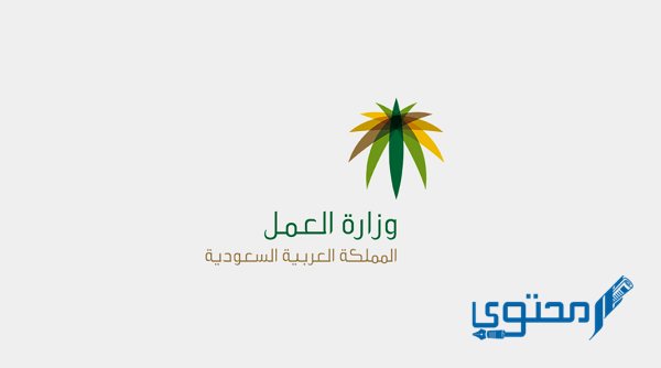 فترة تصحيح أوضاع العمالة 1443