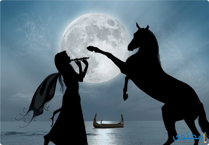 فن السلوليت