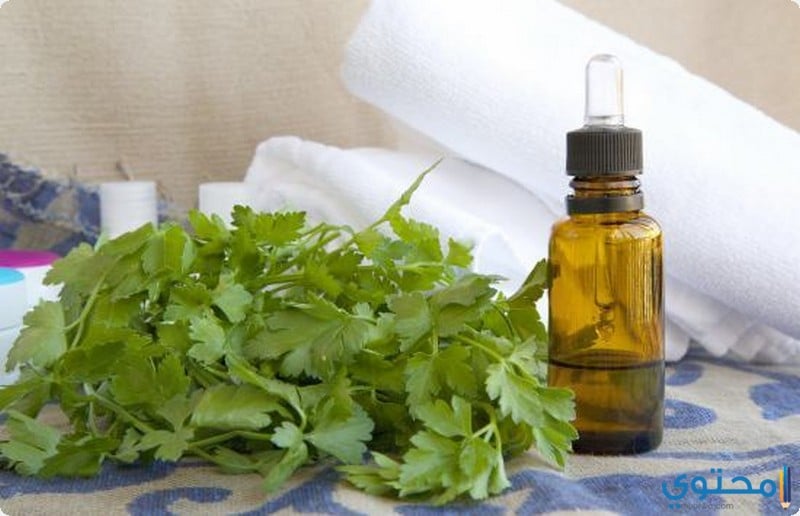 فوائد زيت البقدونس
