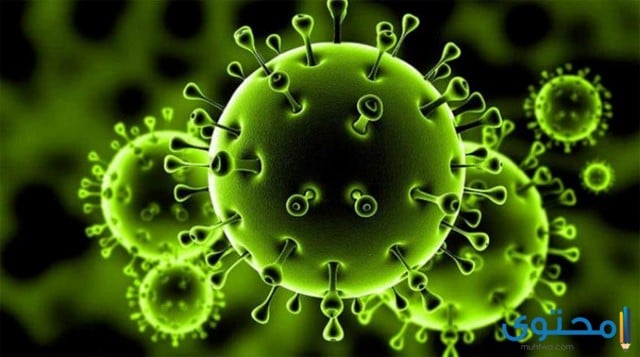 فيروس كورونا