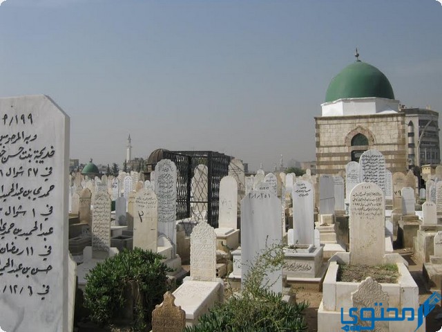 قبر ملئ بالماء في المنام