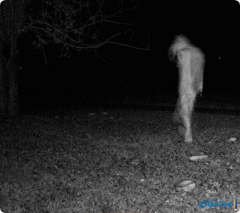 قصة الجن العاشق