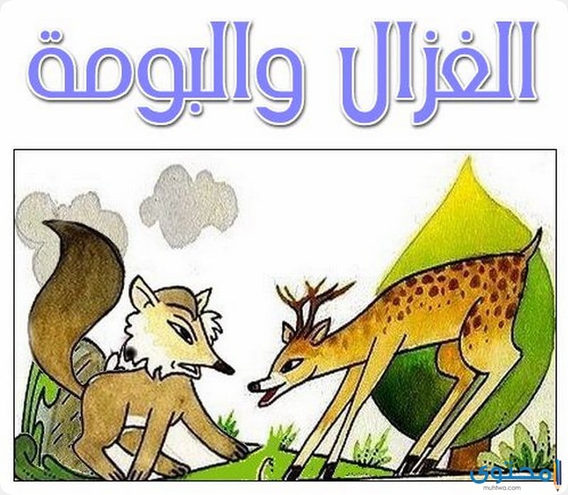 قصة الغزالة والبومة