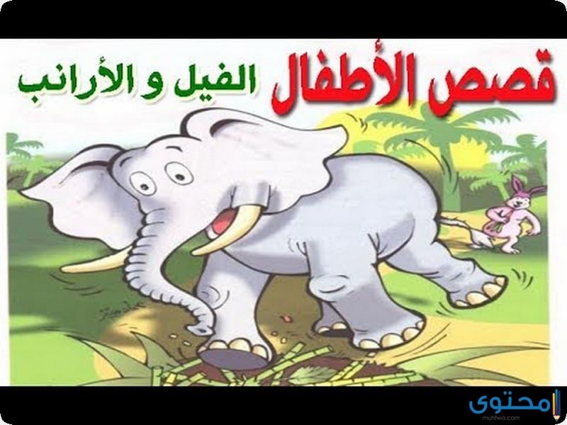 قصة الفيل والأرانب