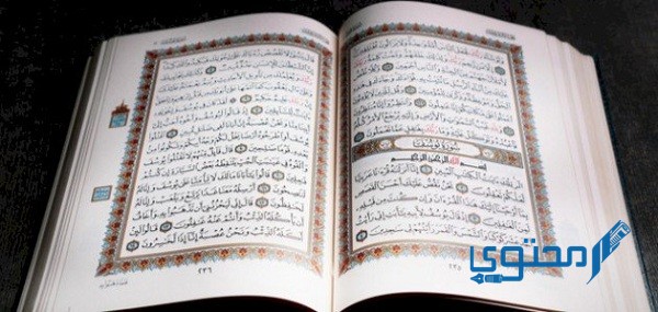 قصة سيدنا يوسف عليه السلام للأطفال مكتوبة كاملة