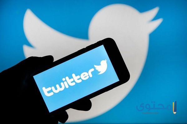 قصة شعار تويتر twitter وتطوره عبر الزمن