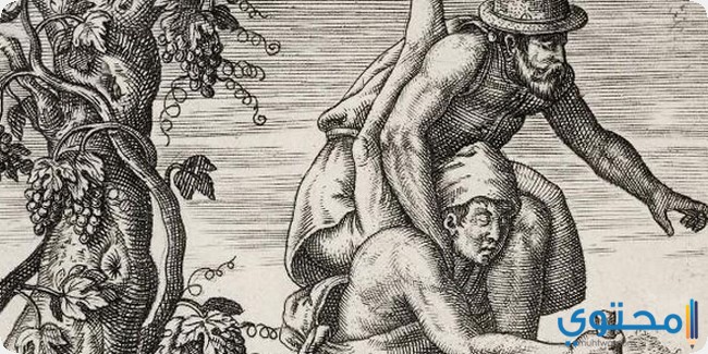 قصص اطفال عن التعاون