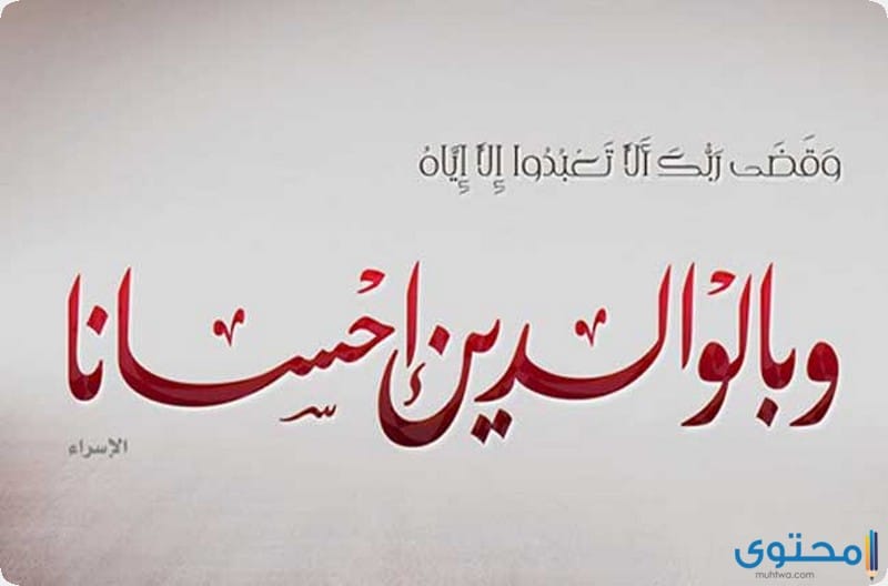 قصة جديدة عن بر الوالدين