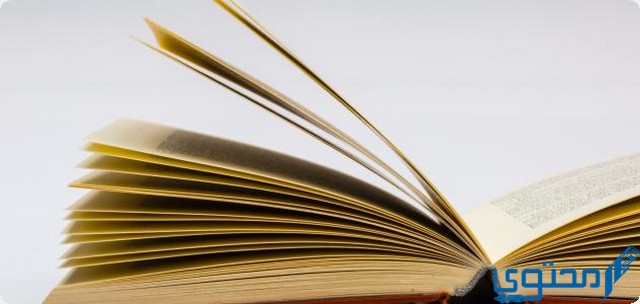 قصة فيها زمان ومكان