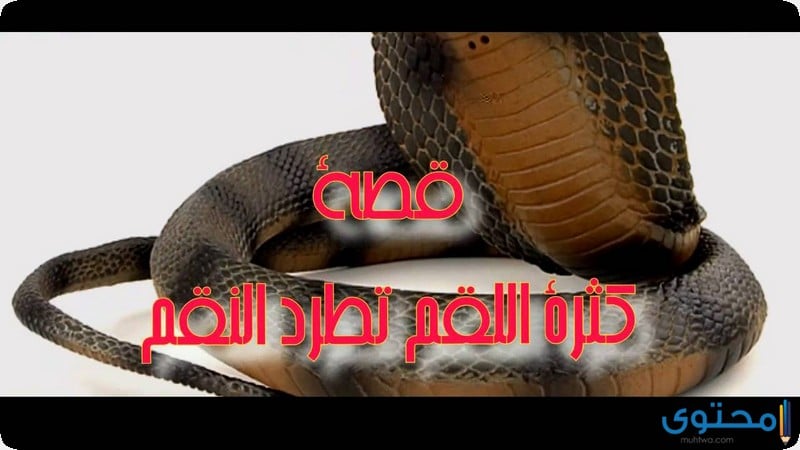 كثرة اللقم تمنع النقم