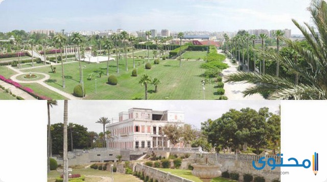 قصر أنطونيادس