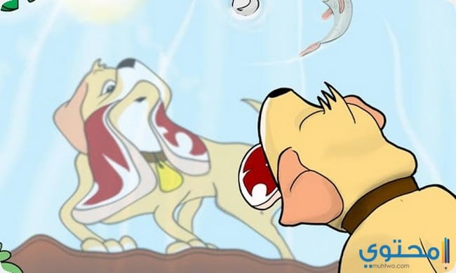 قصص تعليمية للأطفال حديثة