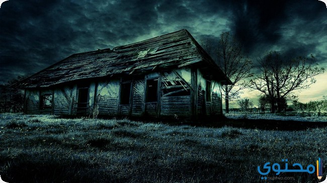 قصة الاستراحة الملعونة