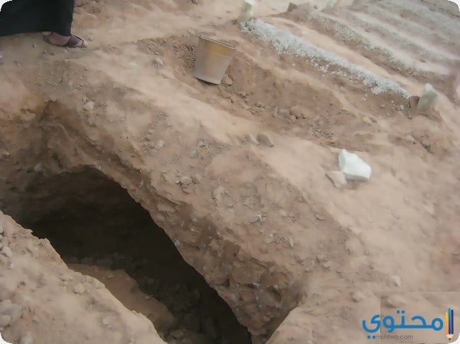 أجمل القصص القصيرة