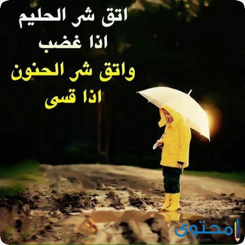 كلام اتق شر الحليم إذا غضب