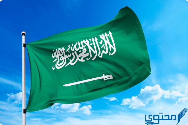 كلمات سعودية ومعانيها