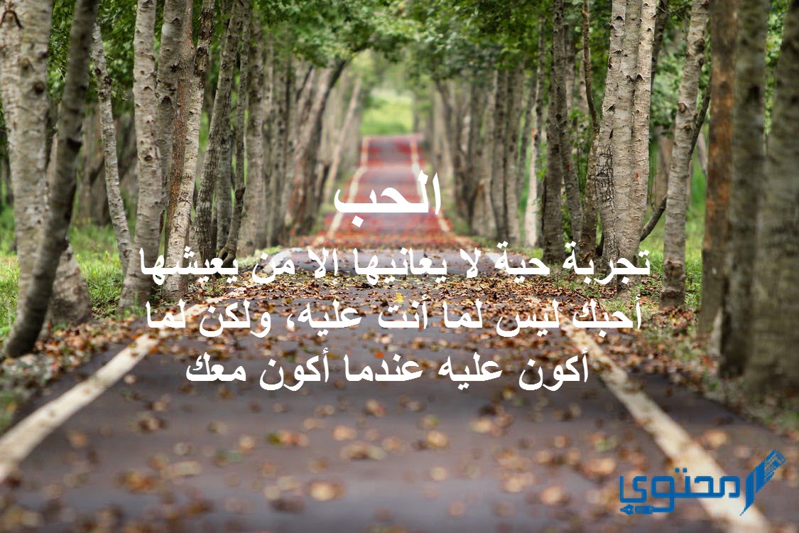 أقوال العلماء عن الحب