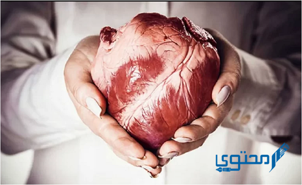 كم سعر القلب بالريال السعودي