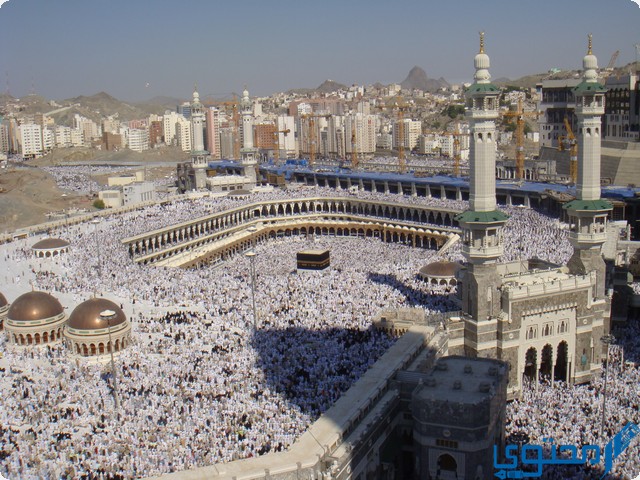 كم عدد الحجاج