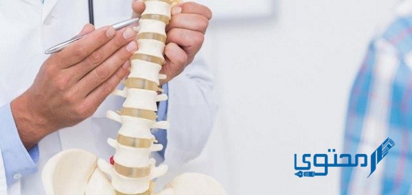 كم عدد فقرات العمود الفقري