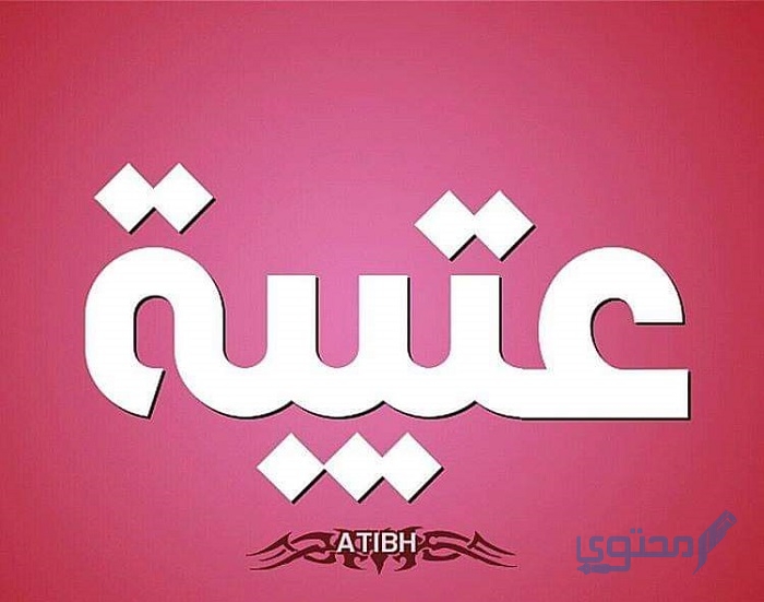 كم مدة حكم عتيبه لنجد