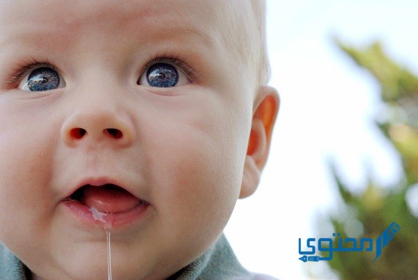 كم ينتج الفم من اللعاب يوميًا