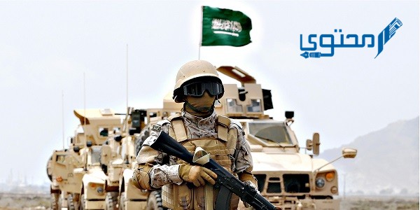 كيف واجهت السعودية القاعدة