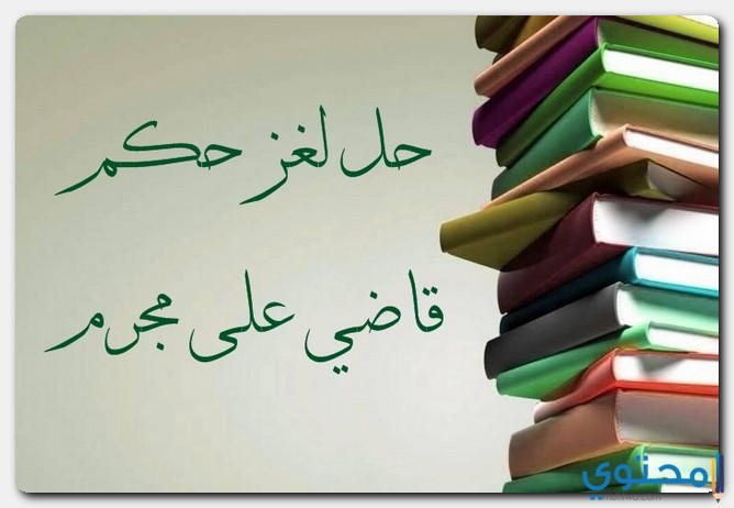 حكم قاضي على مجرم