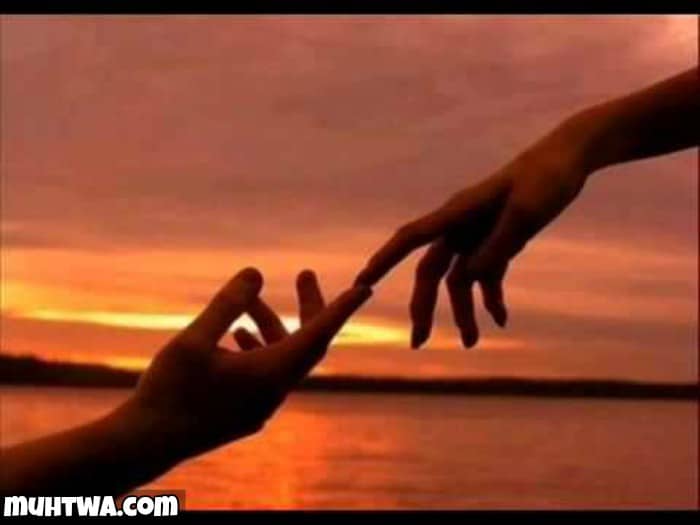 أقوال عن لقاء الأحبة