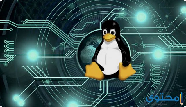 ما هو تعريف التوزيعة