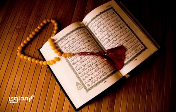 ما هي العروة الوثقى