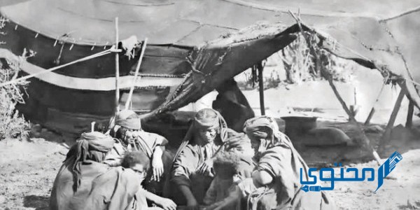 ما هي سنة الجوع في السعودية