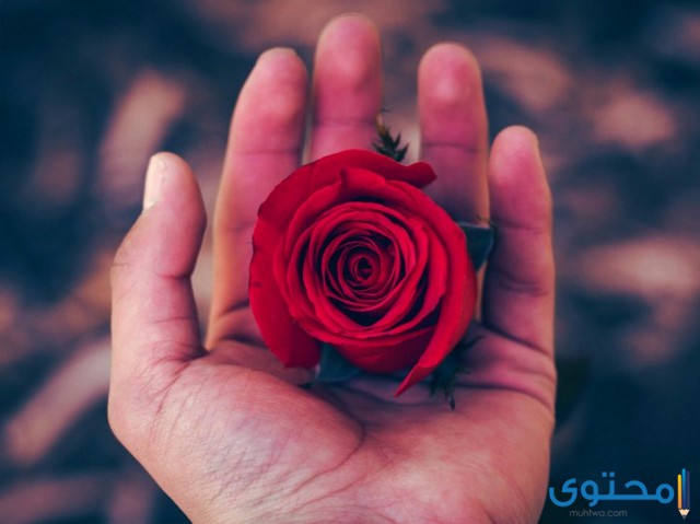 متى تفقد الاهتمام بشريكك