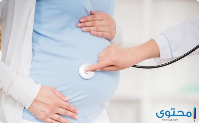 متى يبدأ نبض الجنين