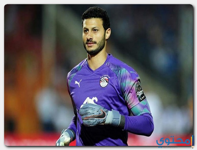 محمد الشناوي