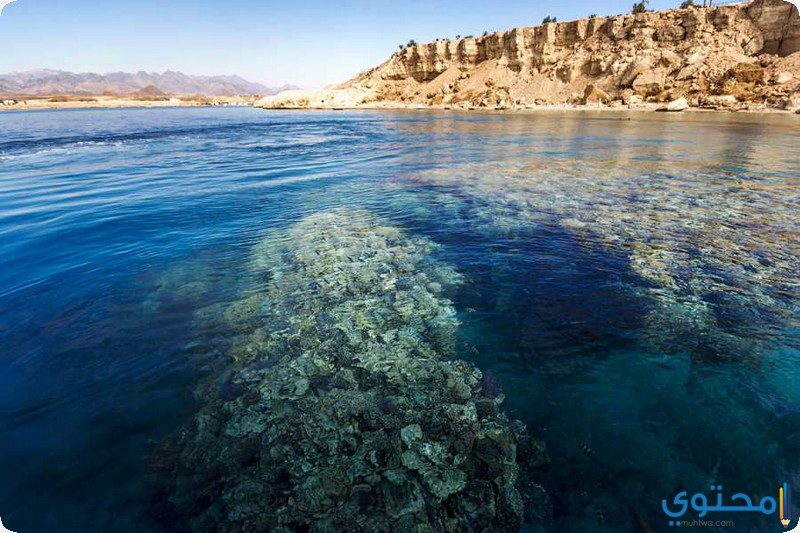 محميات طبيعية عربية