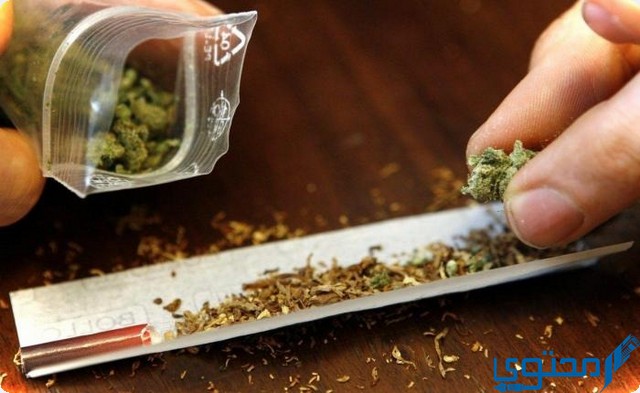 مخدر الاستروكس