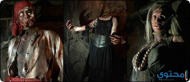 صور أغرب المتاحف حول العالم