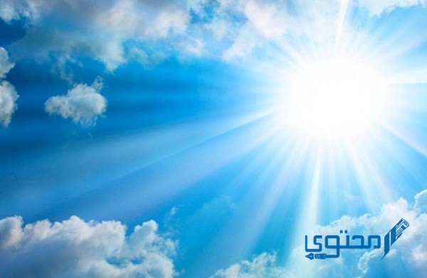 مصطلح يعني علم الطقس من 12 حرف