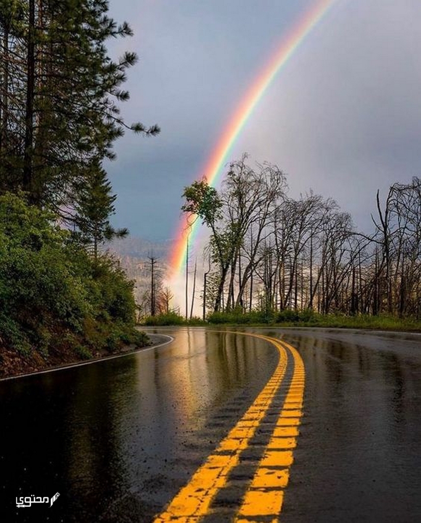 مطويات عن الفصول الأربعة