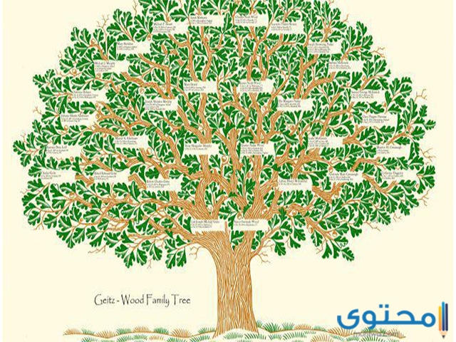 معرفة الاسم بالكامل