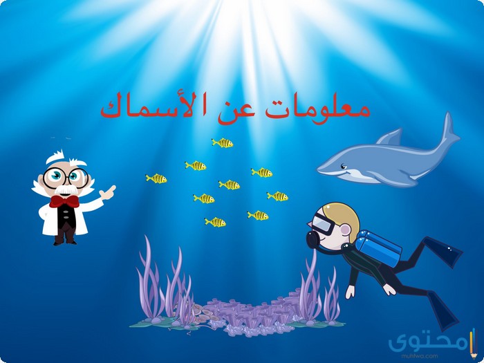 الأسماك جديدة