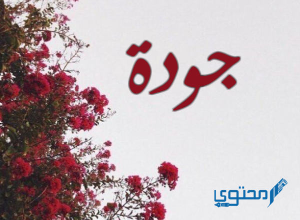 معنى اسم جودة وصفات حامل اسم (Joudah)