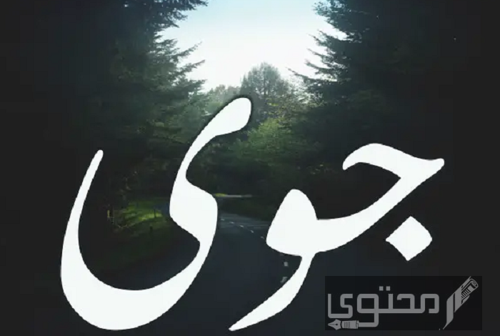 معنى اسم جوي (Joy) وصفات حاملة الاسم