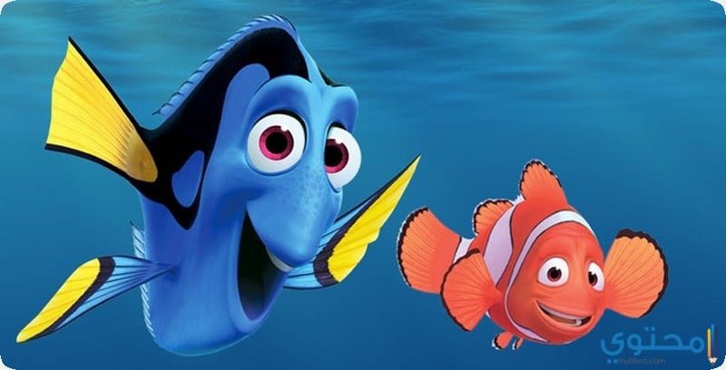 قصة مغامرة السمكة