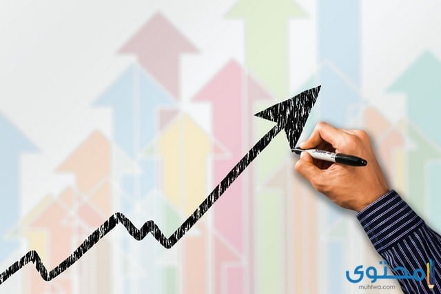 مقارنة بين الأسهم العادية والممتازه والسندات