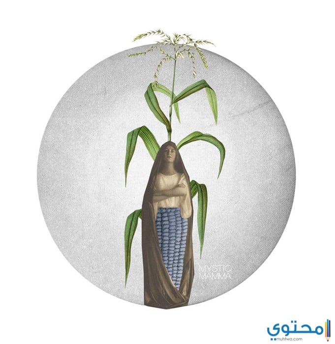 برج العذراء مع الأبراج الأخرى