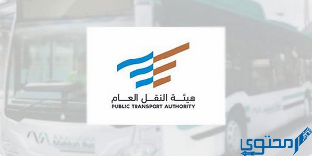 ممارسة نشاط تأجير السيارات