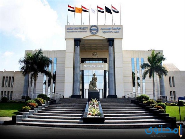 جامعة مصر للعلوم والتكنولوجيا