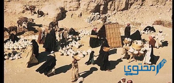 من الأمثلة على أسواق العرب القديمة